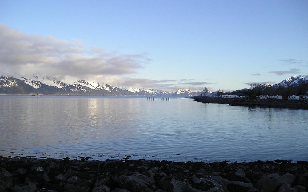Le Maree dell’Alaska: Uno Spettacolo della Natura